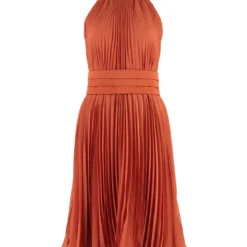 Max Mara Golena Pleated Dress