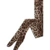 Dolce & Gabbana Leopard Print Tights -ITALIST SHOP c6d0fab569f3b6cbd8dc06ef51414069